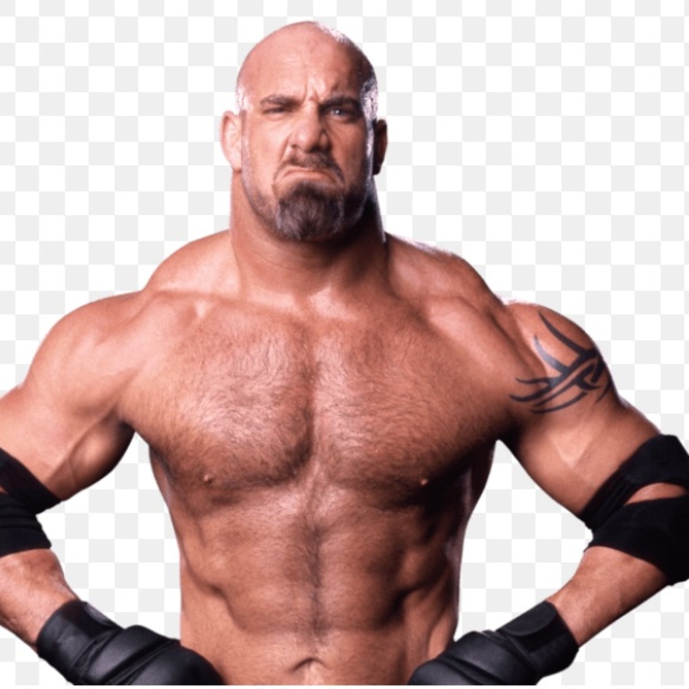 WWE WCW Goldberg Mattel Wrestling Action Figure Elite Series